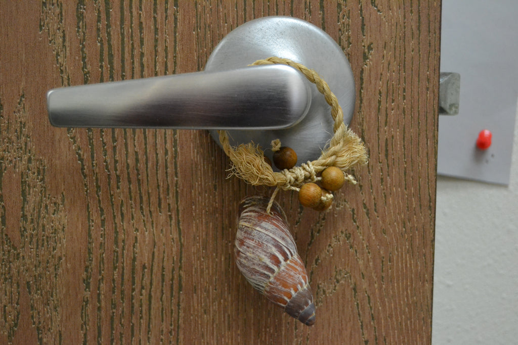 Brown Conch Shell Plant Hanger - Coastal Home Décor