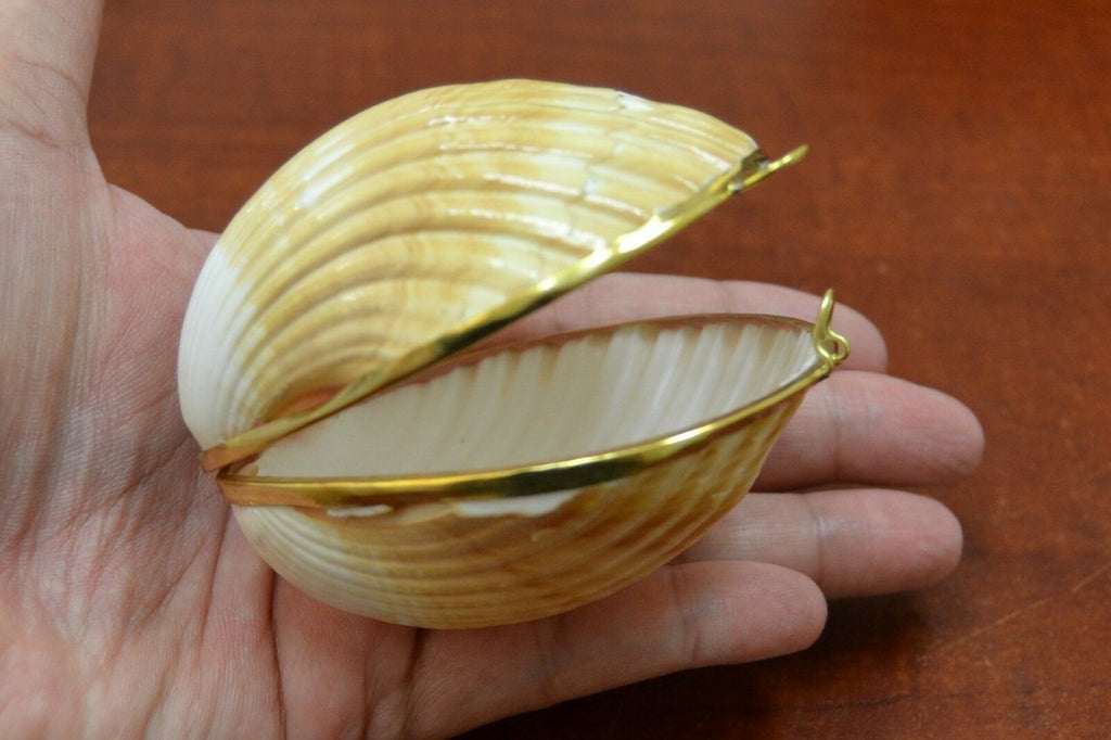 Yellow Cup Shell Trinket Box - Coastal Home Décor