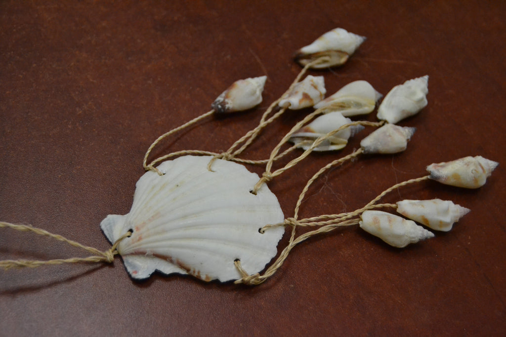 Assorted White Irish Shell Hanger - Coastal Home Décor