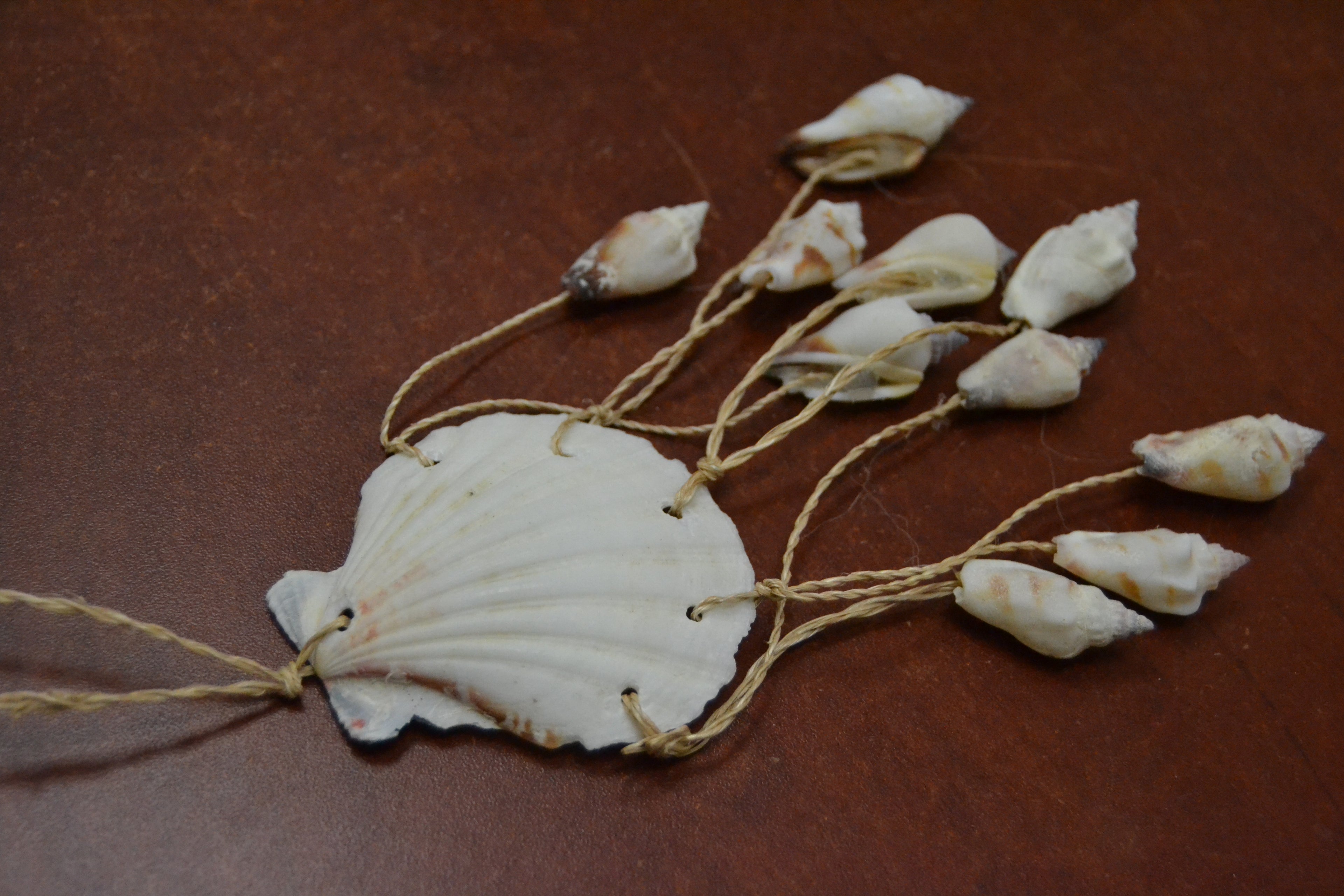 Assorted White Irish Shell Hanger - Coastal Home Décor