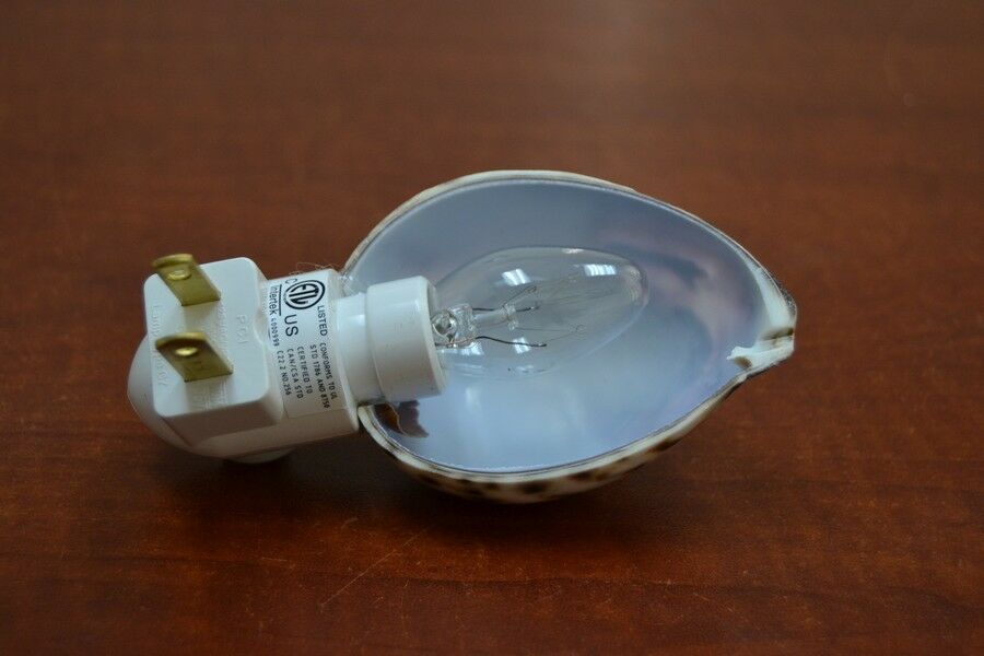 Purple Mermaid Shell Nightlight - Coastal Home Décor