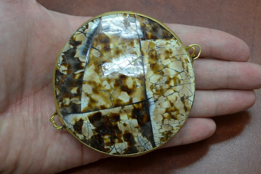 Cowrie Shell Trinket Box - Coastal Home Décor