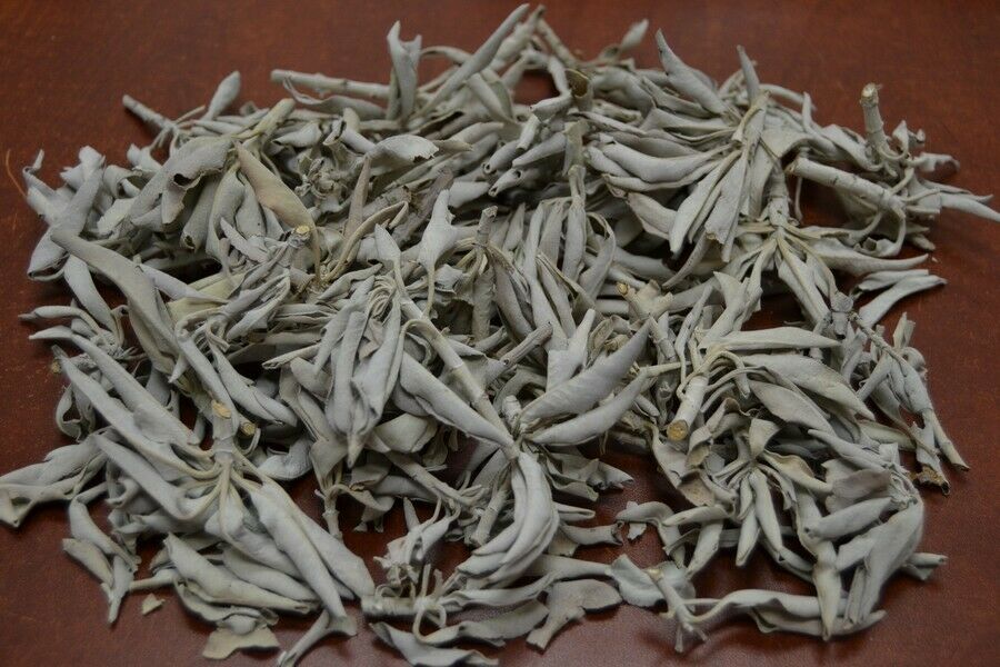 California White Sage – 1 Pound - Sacred Smudging & Cleansing