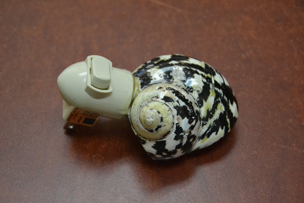 Black Turbo Shell Nightlight - Coastal Home Décor