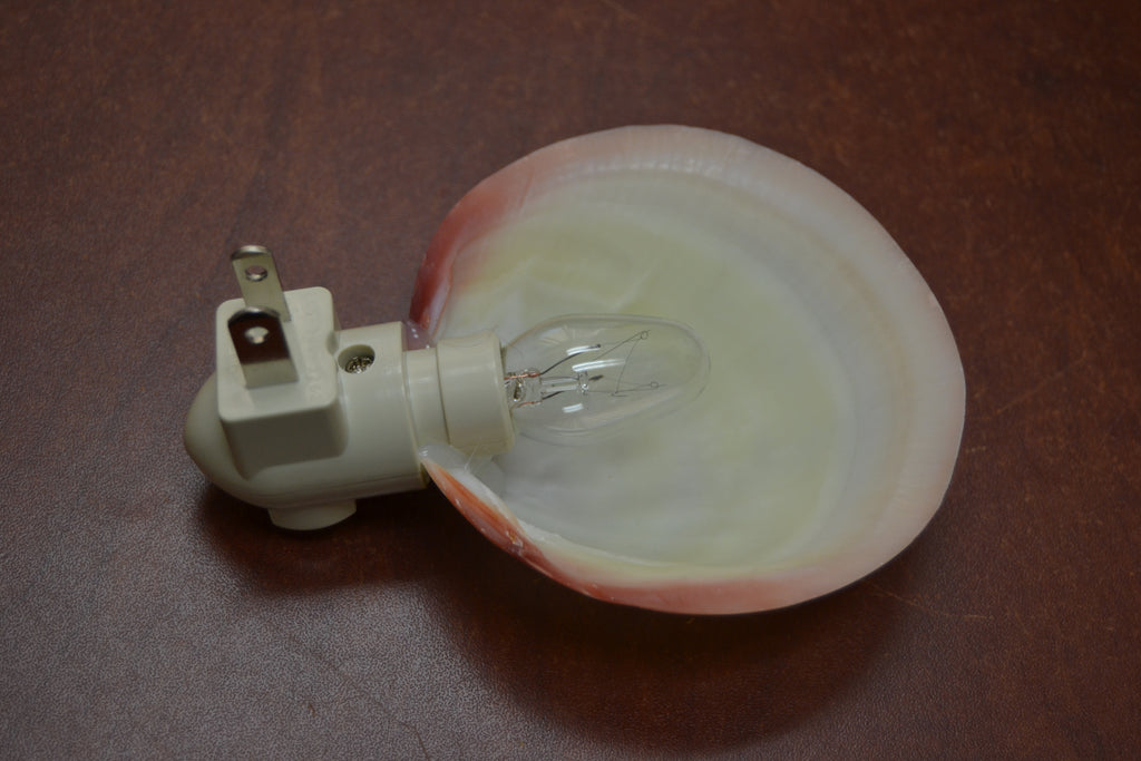 Pink Mother of Pearl Shell Nightlight - Coastal Home Décor