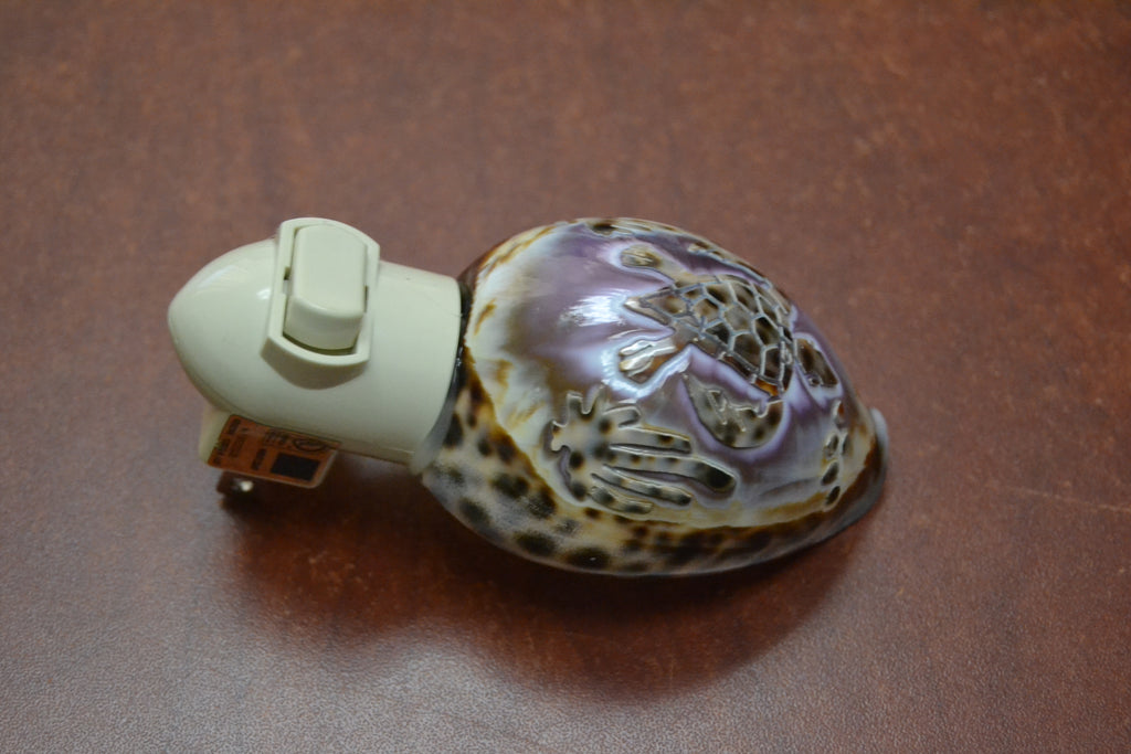Tiger Turtle Shell Nightlight - Coastal Home Décor