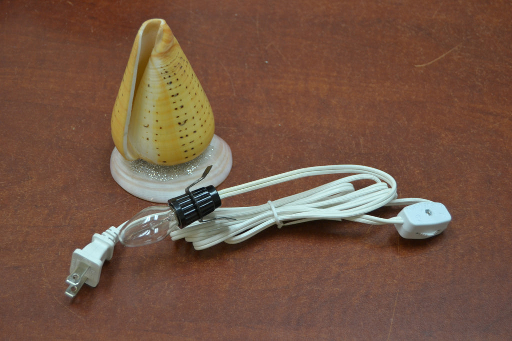 Spotted Orange Cone Shell Table Lamp - Coastal Home Décor