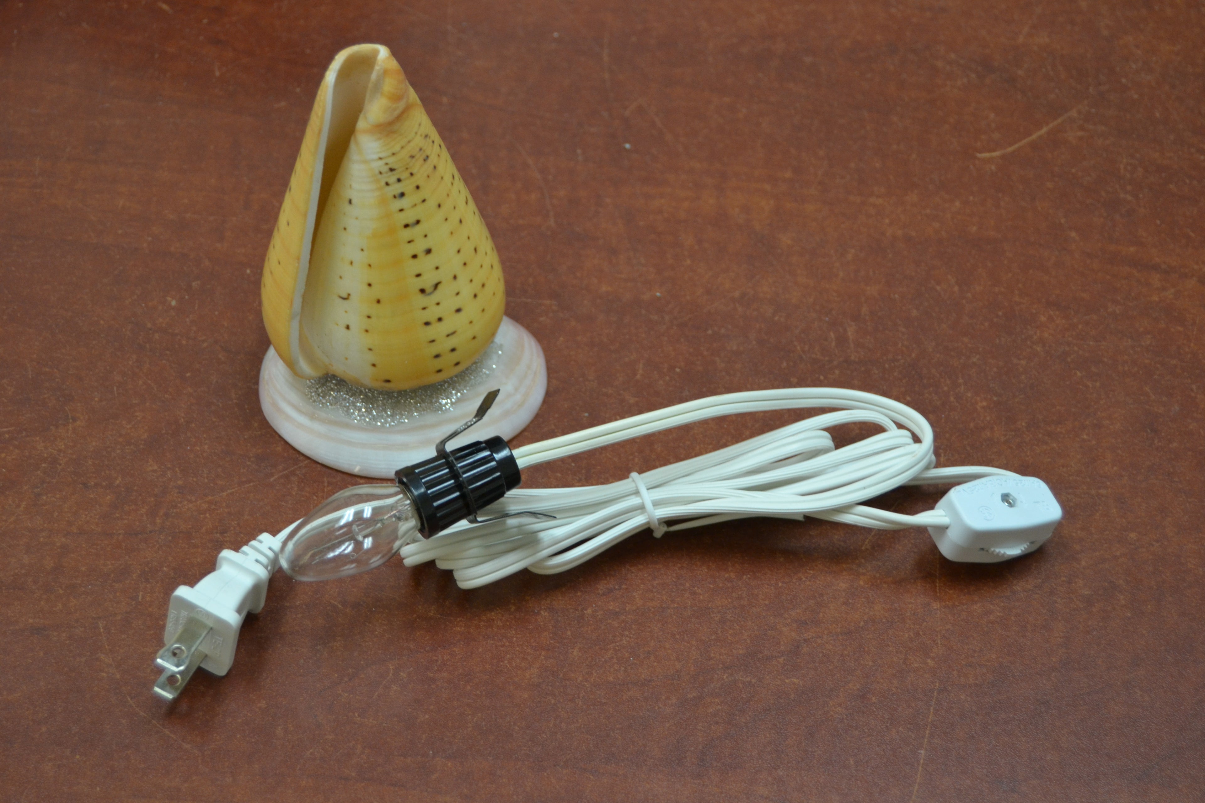 Spotted Orange Cone Shell Table Lamp - Coastal Home Décor