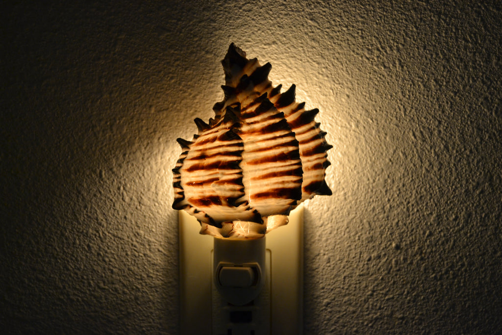 Black Murex Shell Nightlight - Coastal Home Décor
