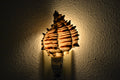 Black Murex Shell Nightlight - Coastal Home Décor