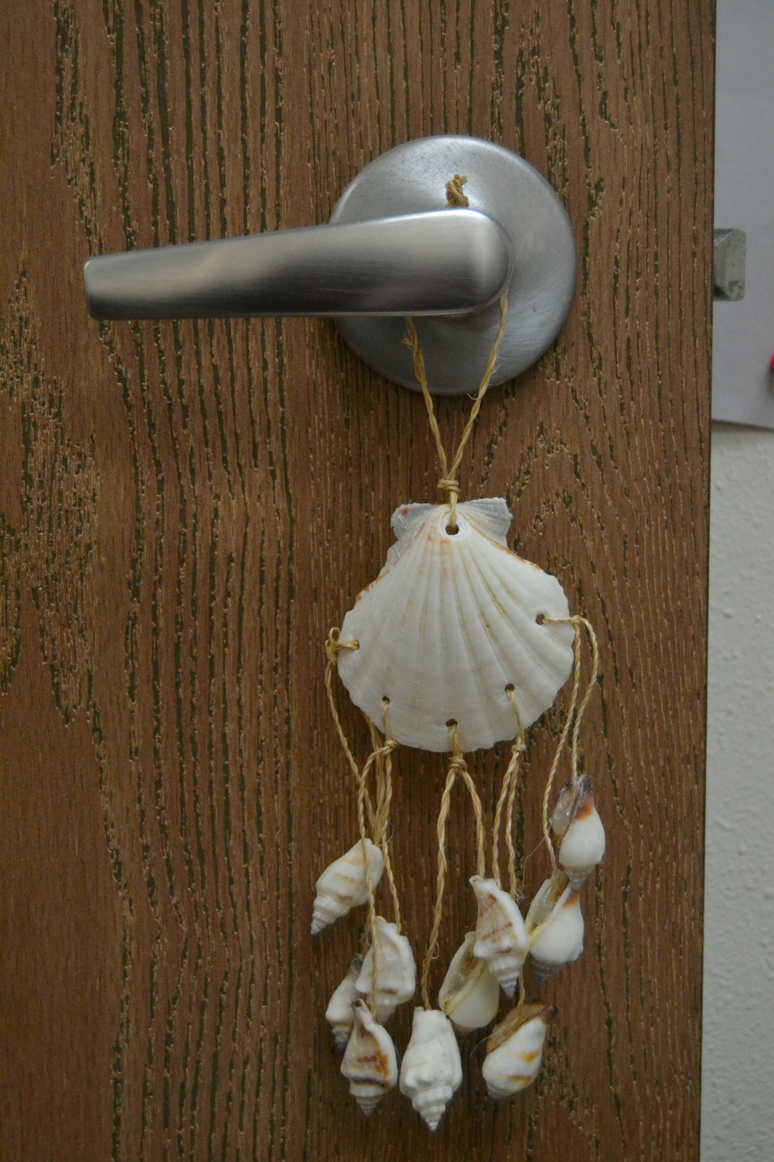 Assorted White Irish Shell Hanger - Coastal Home Décor