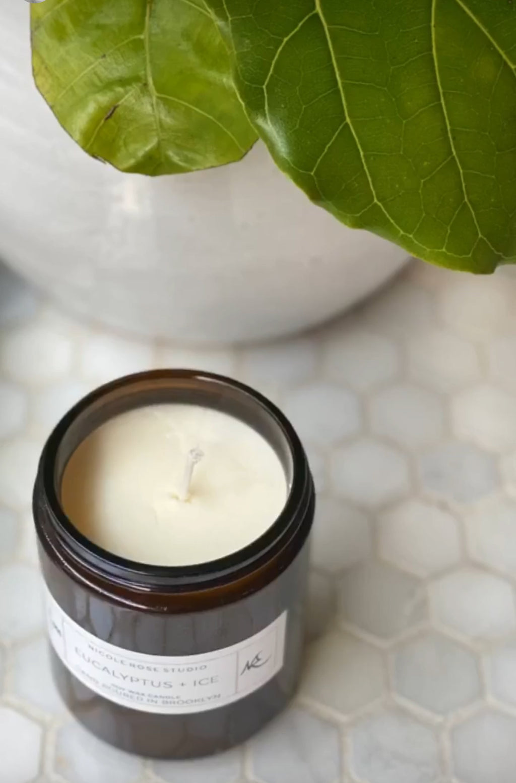 Eucalyptus & Ice Soy Wax Candle - Spiritual & Wellness