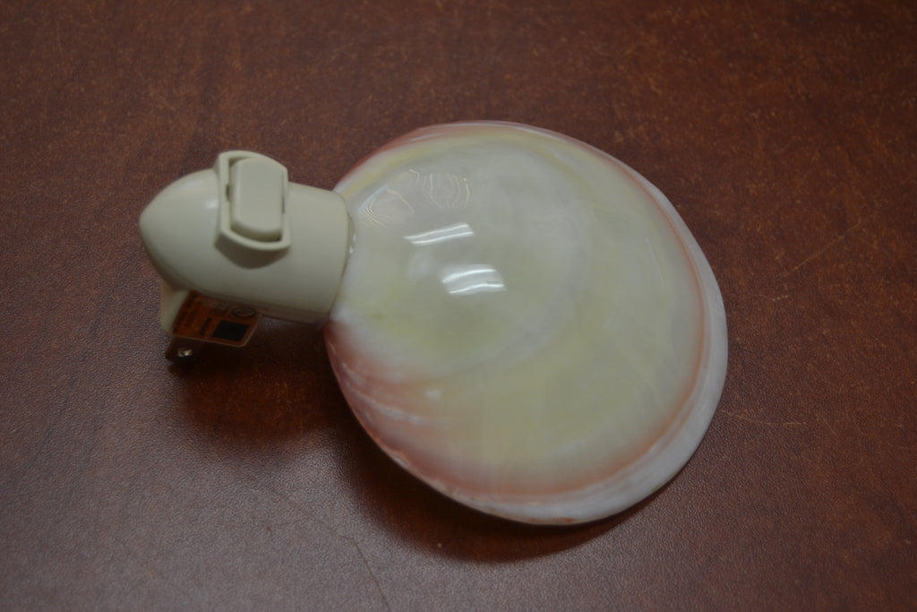 Pink Mother of Pearl Shell Nightlight - Coastal Home Décor
