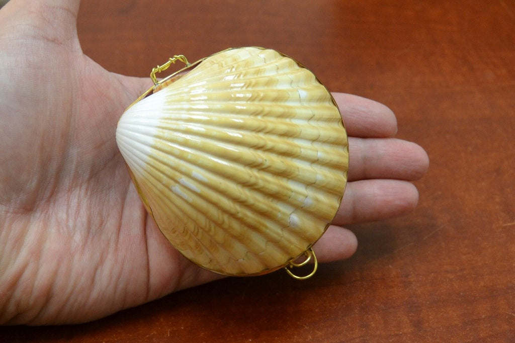 Yellow Cup Shell Trinket Box - Coastal Home Décor