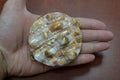 Red Cameo Shell Trinket Box - Coastal Home Décor