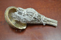 Mini White Sage & Green Abalone Shell Kit - Sacred Smudging & Cleansing