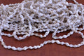 Tiny Nassa Cowrie Shell Beads – 800 Pack - Artisan Craft Supplies