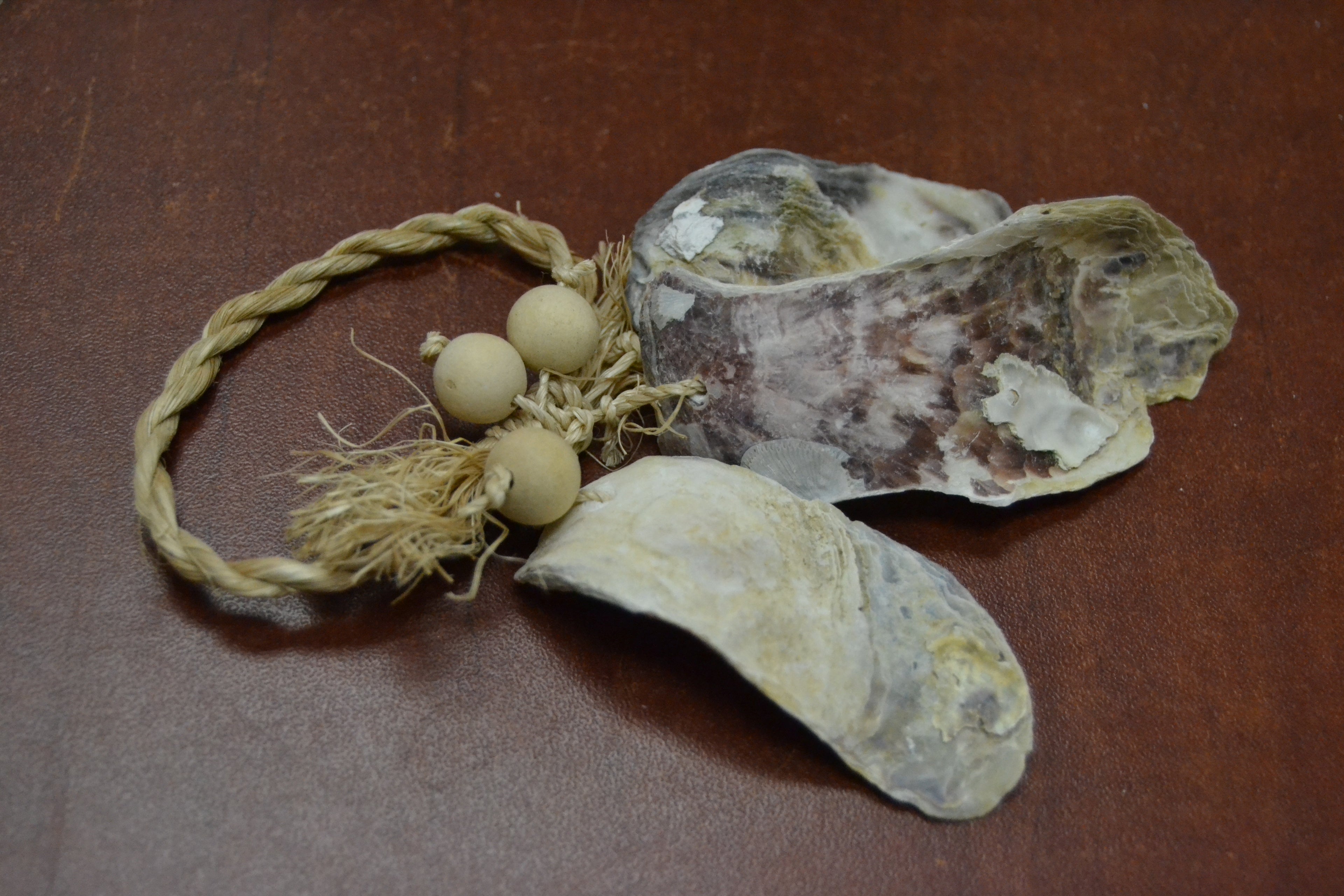Purple Seashell Door Hanger - Coastal Home Décor