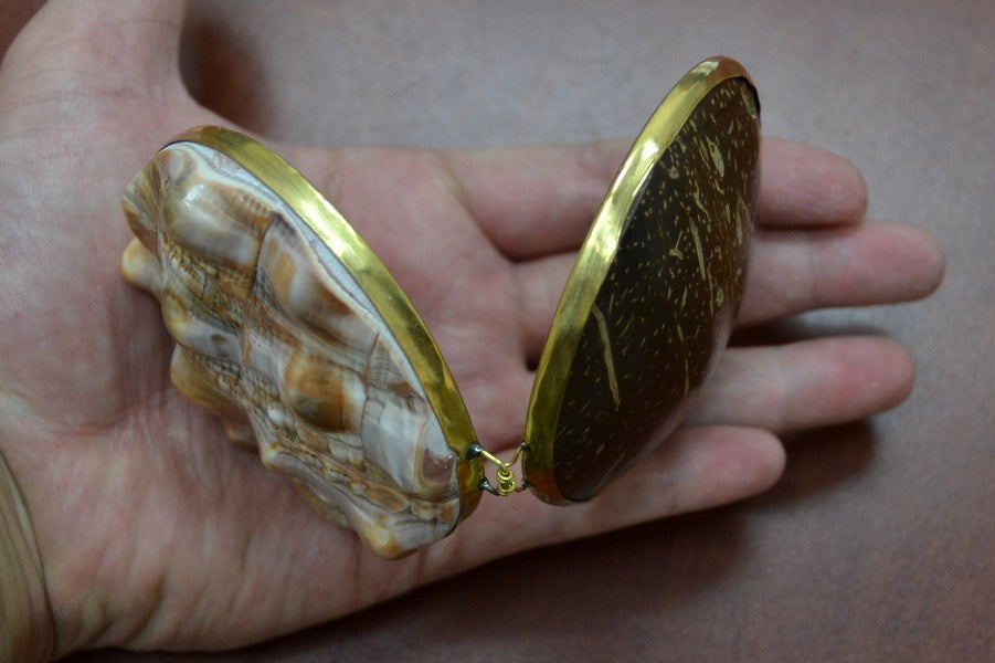 Red Cameo Shell Trinket Box - Coastal Home Décor