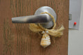 Brown Cone Shell Hanger - Coastal Home Décor