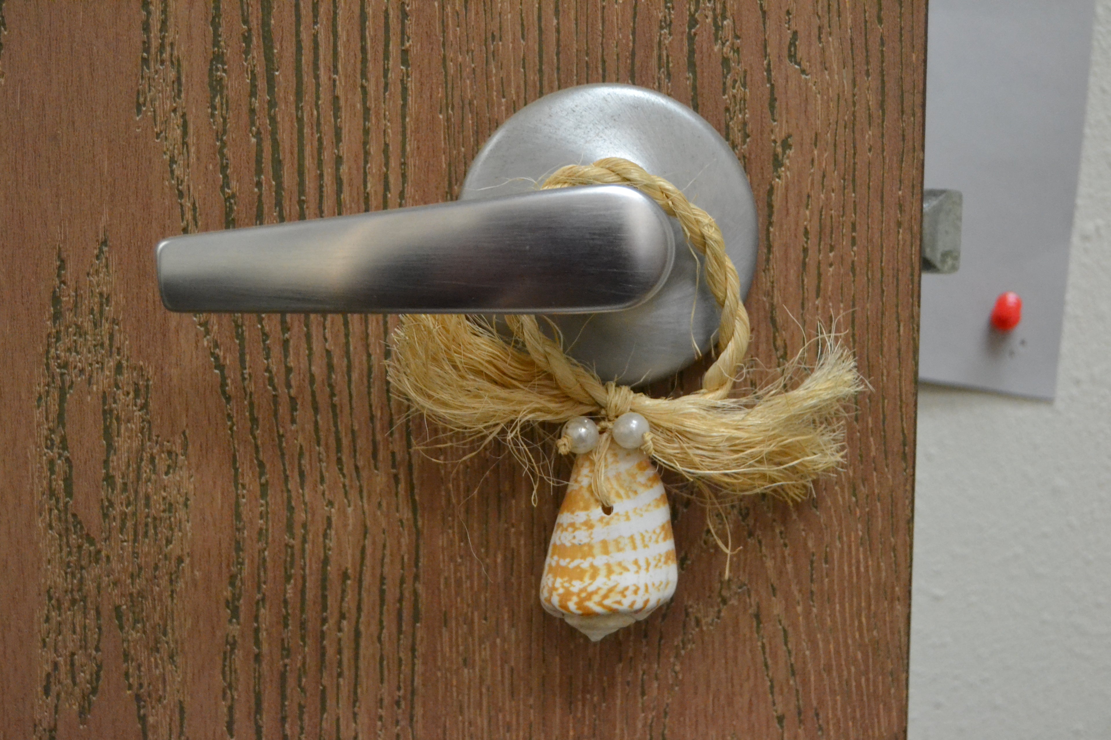 Brown Cone Shell Hanger - Coastal Home Décor