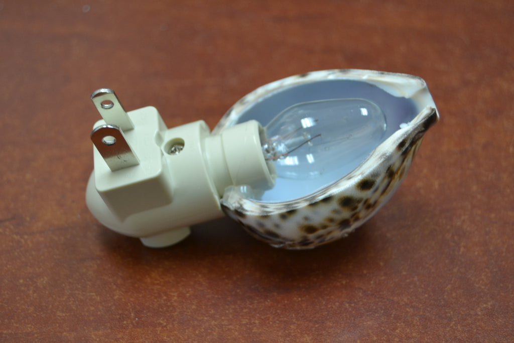 Tiger Seahorse Shell Nightlight - Coastal Home Décor