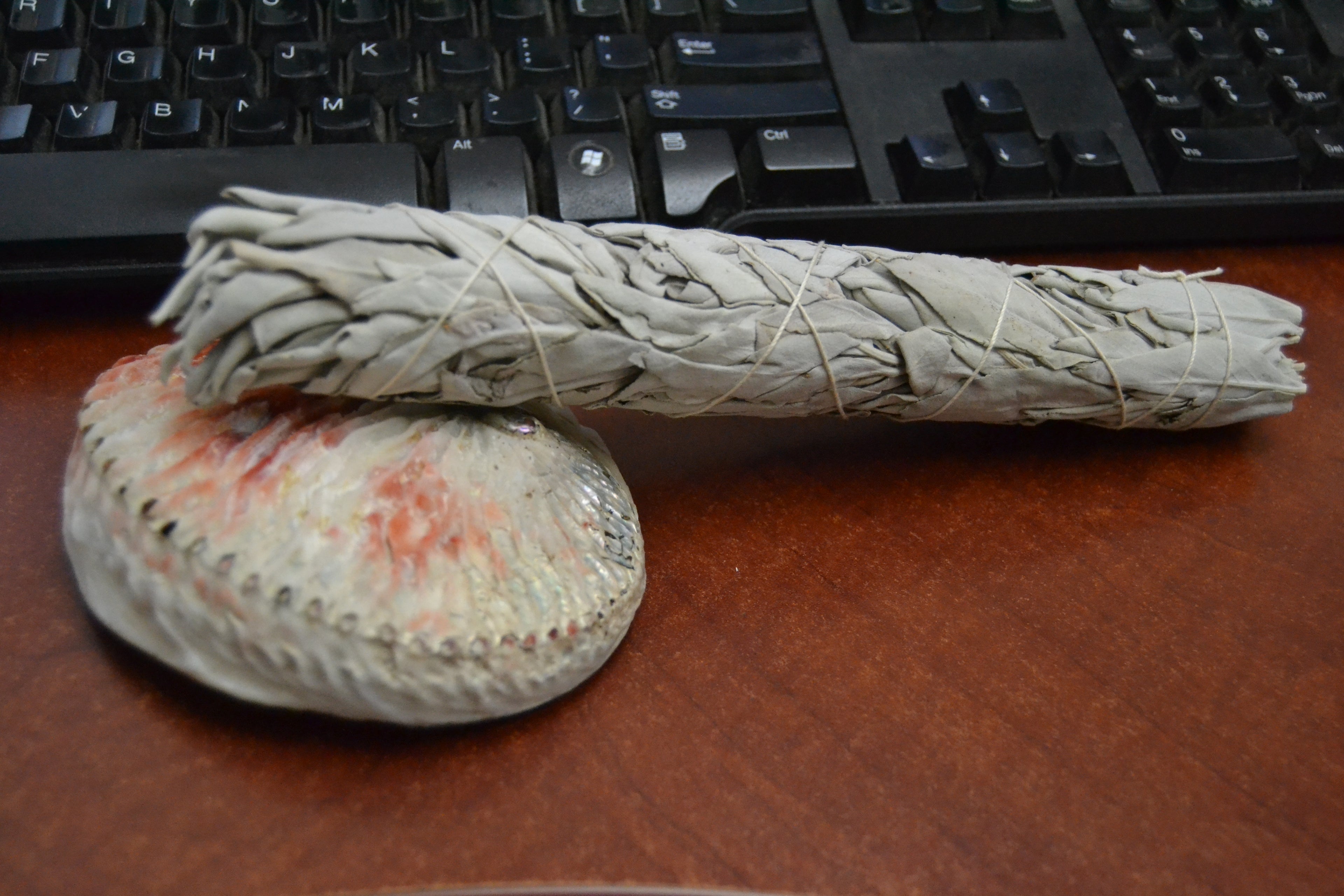 White Sage & Abalone Shell Smudge Kit - Sacred Smudging & Cleansing
