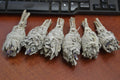 Mini White & Lavender Sage – 6 Pack - Sacred Smudging & Cleansing