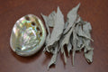 Loose White Sage & Mini Abalone Shell Set - Sacred Smudging & Cleansing