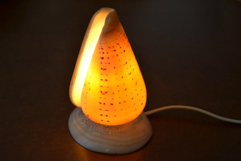 Spotted Orange Cone Shell Table Lamp - Coastal Home Décor