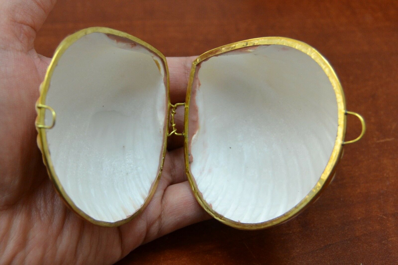 Yellow Cup Shell Trinket Box - Coastal Home Décor