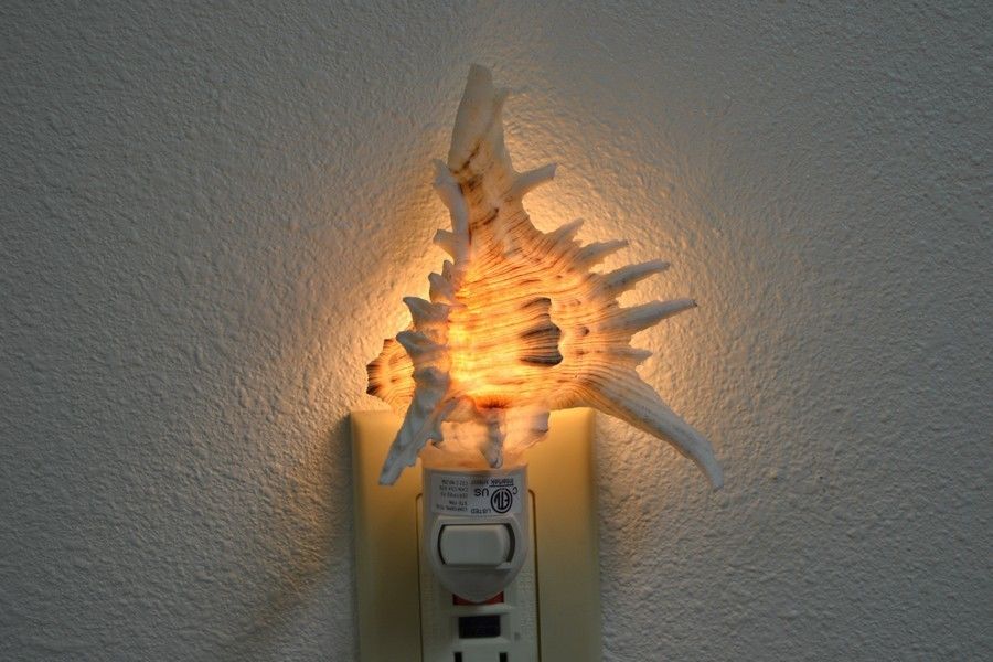 Brown Murex Shell Nightlight - Coastal Home Décor