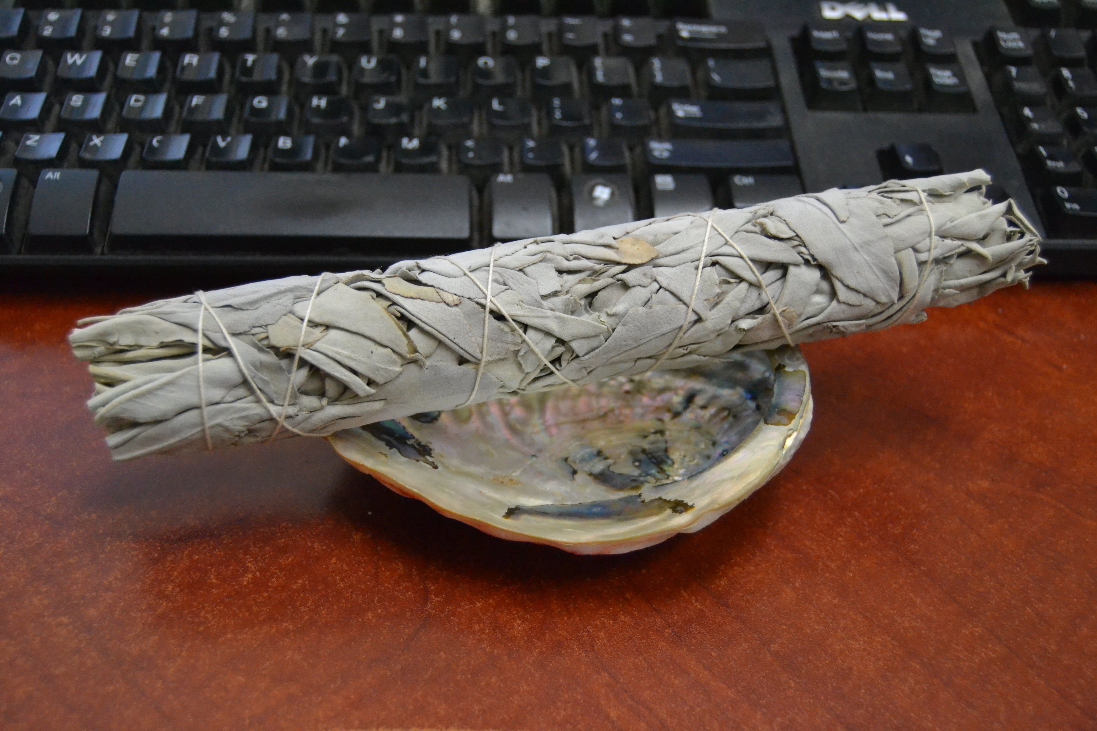 White Sage & Abalone Shell Smudge Kit - Sacred Smudging & Cleansing