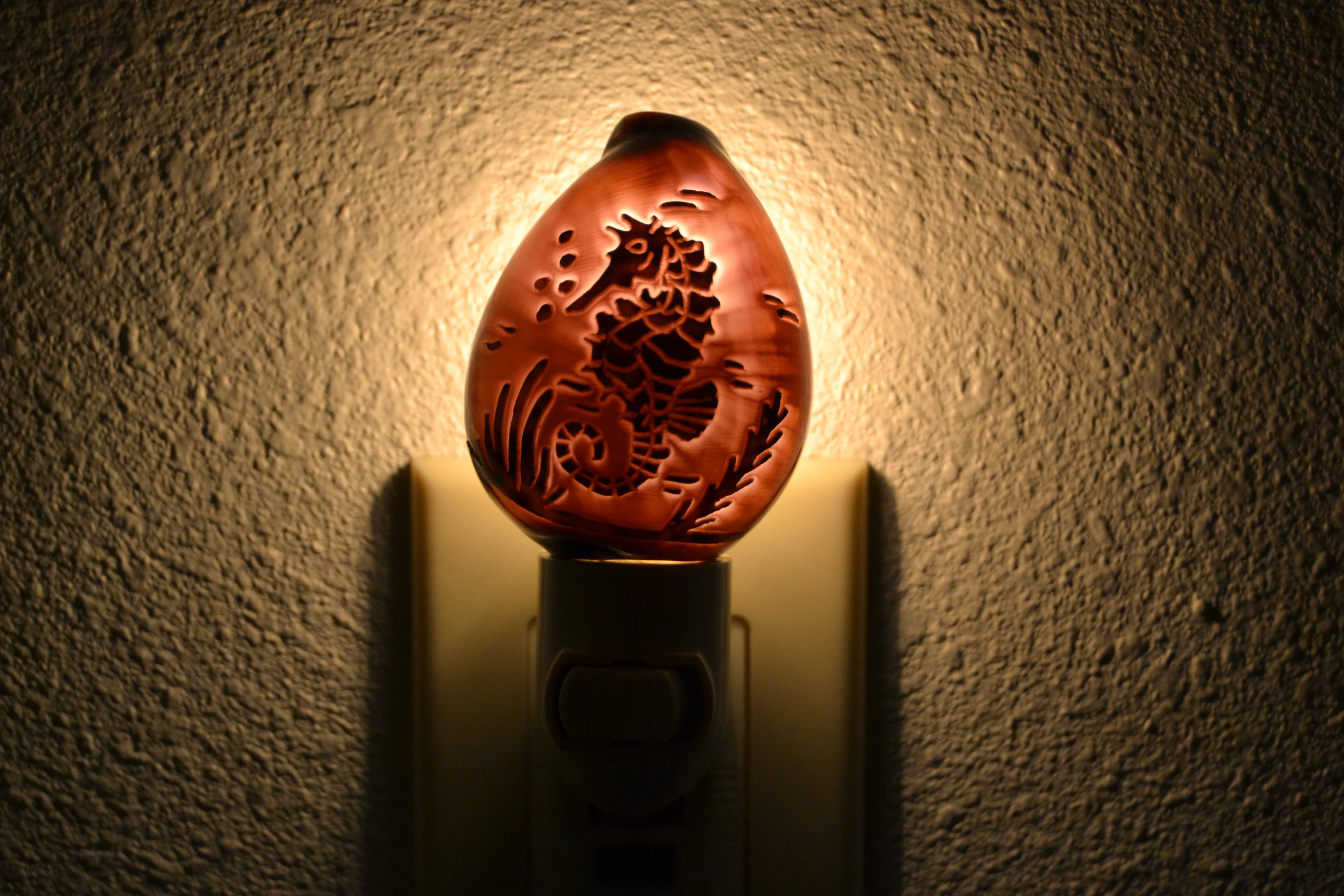 Tiger Seahorse Shell Nightlight - Coastal Home Décor