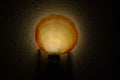 Pink Mother of Pearl Shell Nightlight - Coastal Home Décor