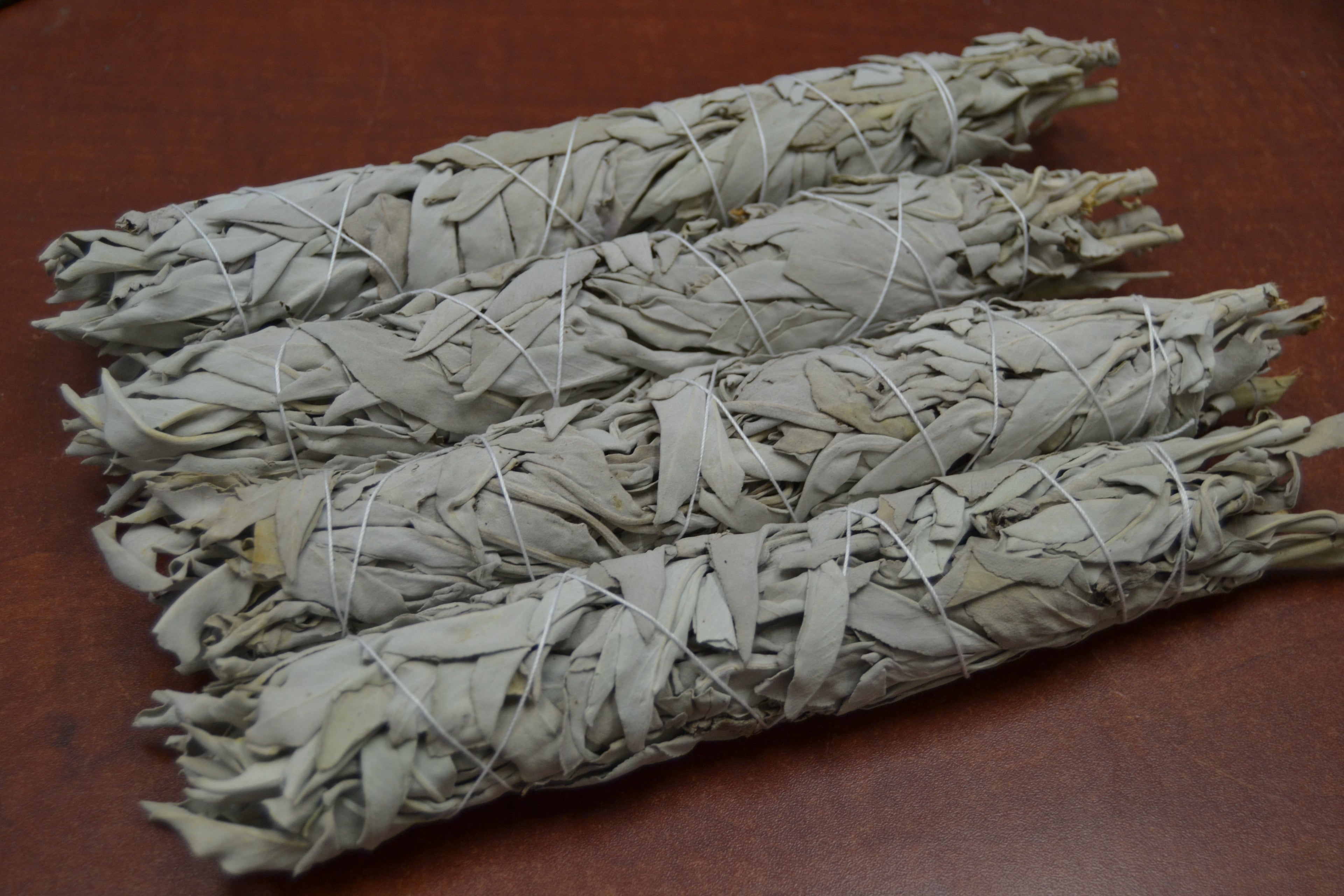 California White Sage Bundles 9" – 4 Pack - Sacred Smudging & Cleansing