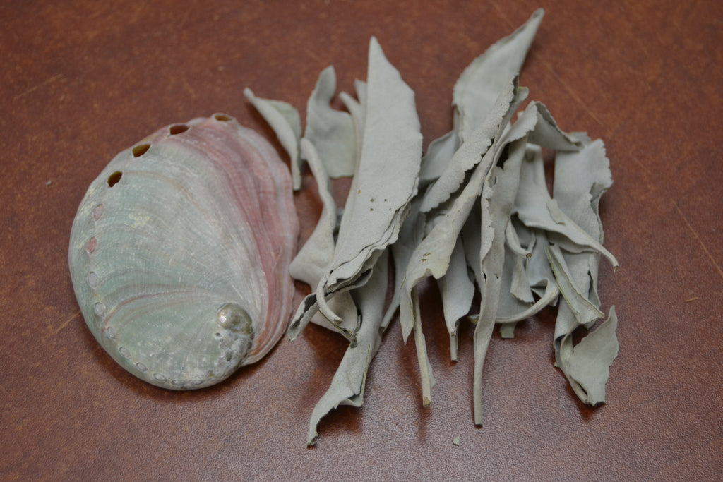 Loose White Sage & Mini Abalone Shell Set - Sacred Smudging & Cleansing