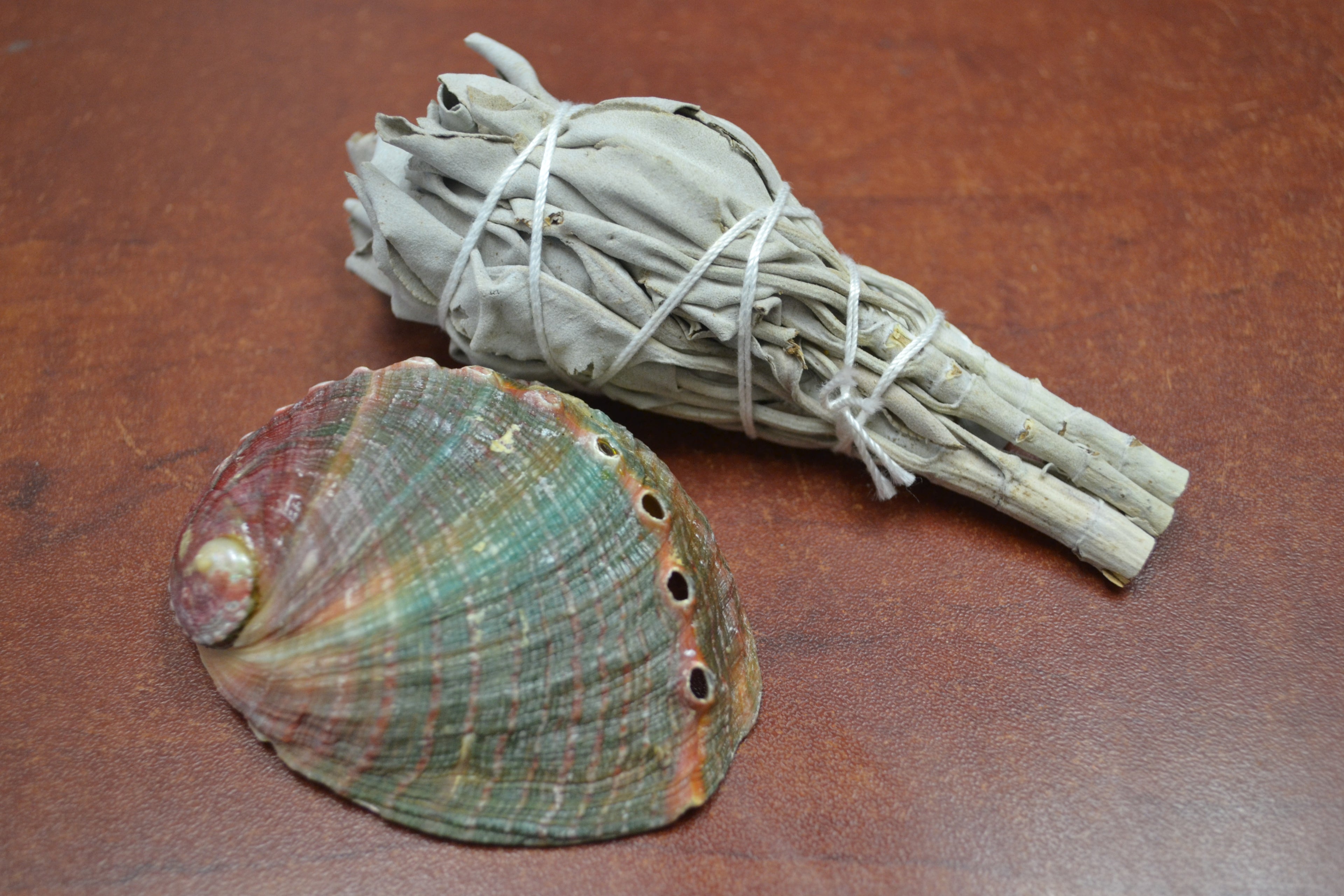 Mini White Sage & Green Abalone Shell Kit - Sacred Smudging & Cleansing