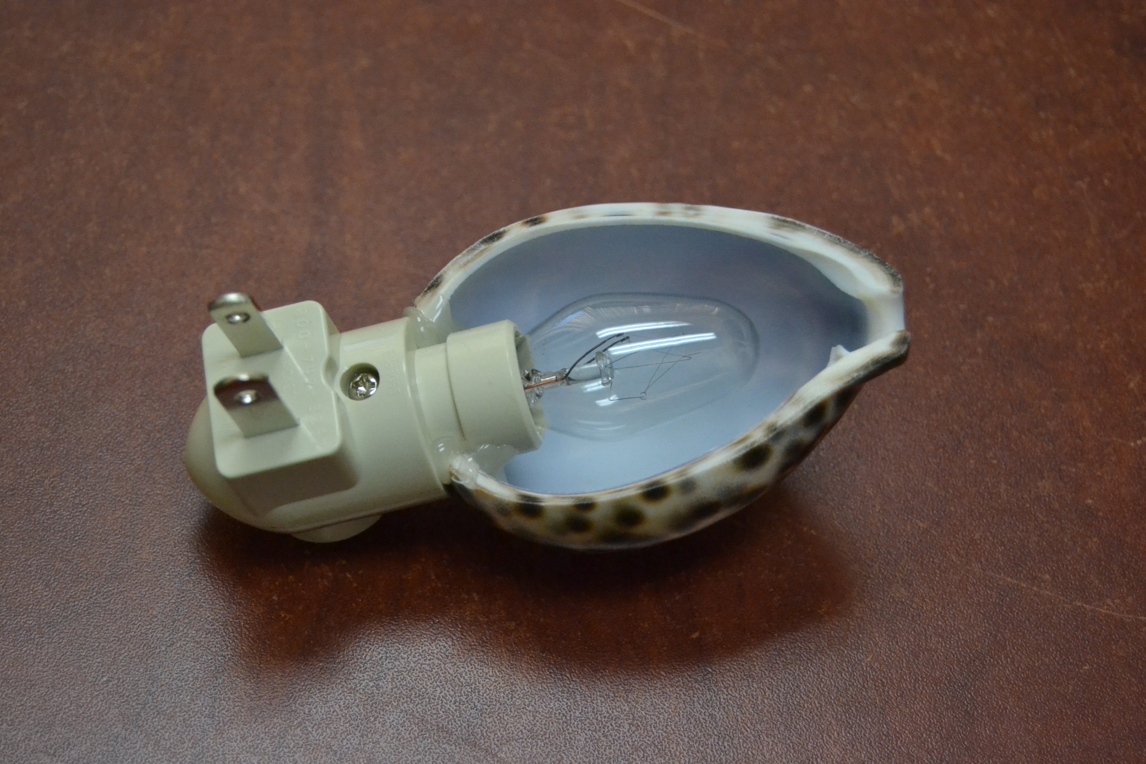 Tiger Turtle Shell Nightlight - Coastal Home Décor