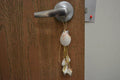 White Irish Deep Shell Hanger - Coastal Home Décor