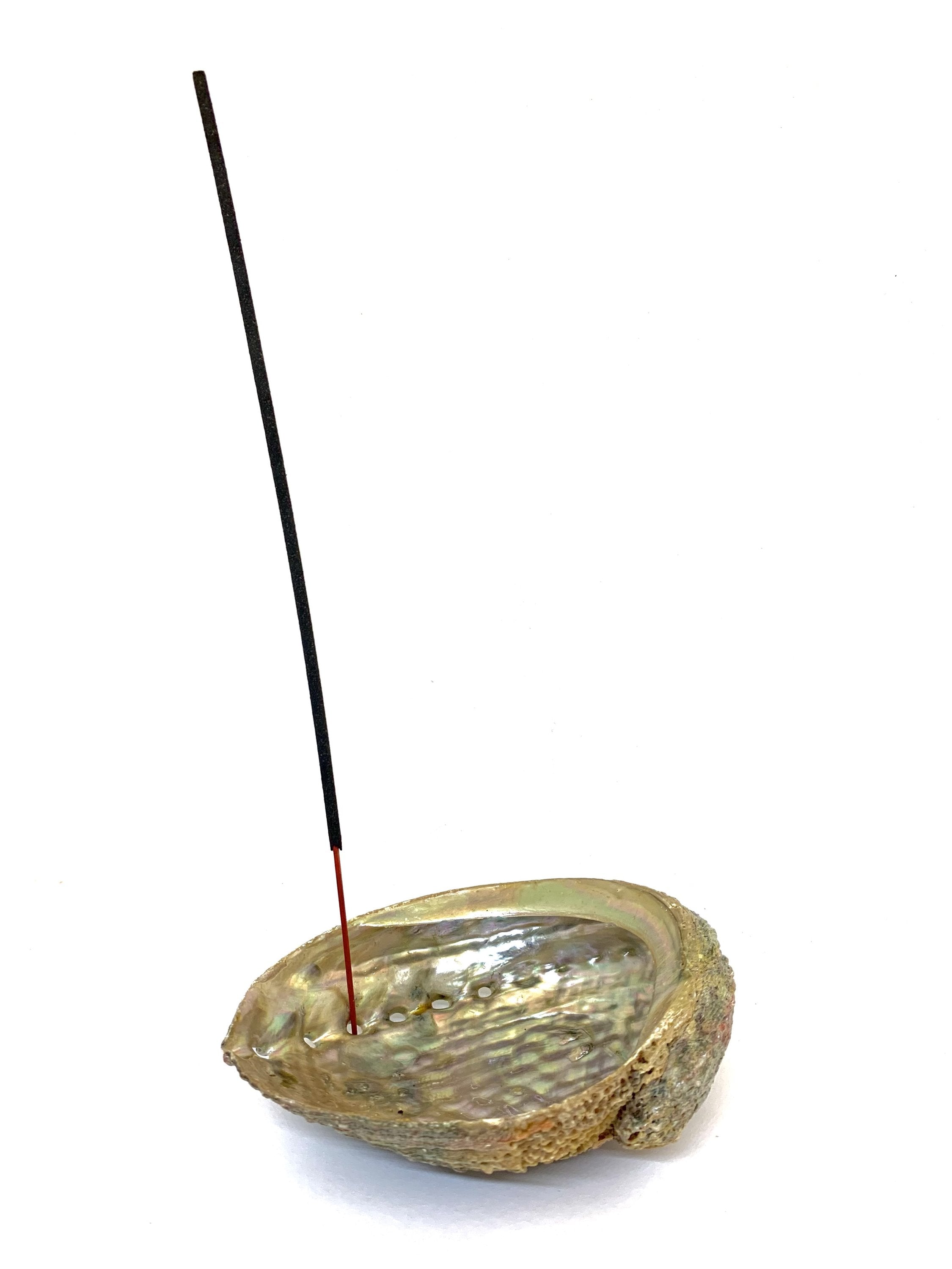 Abalone Shell Incense Holder | Natural Smudge Vessel | Cleansing