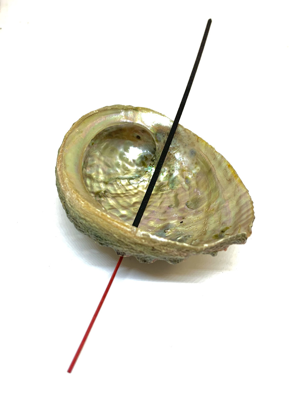 Abalone Shell Incense Holder | Natural Smudge Vessel | Cleansing