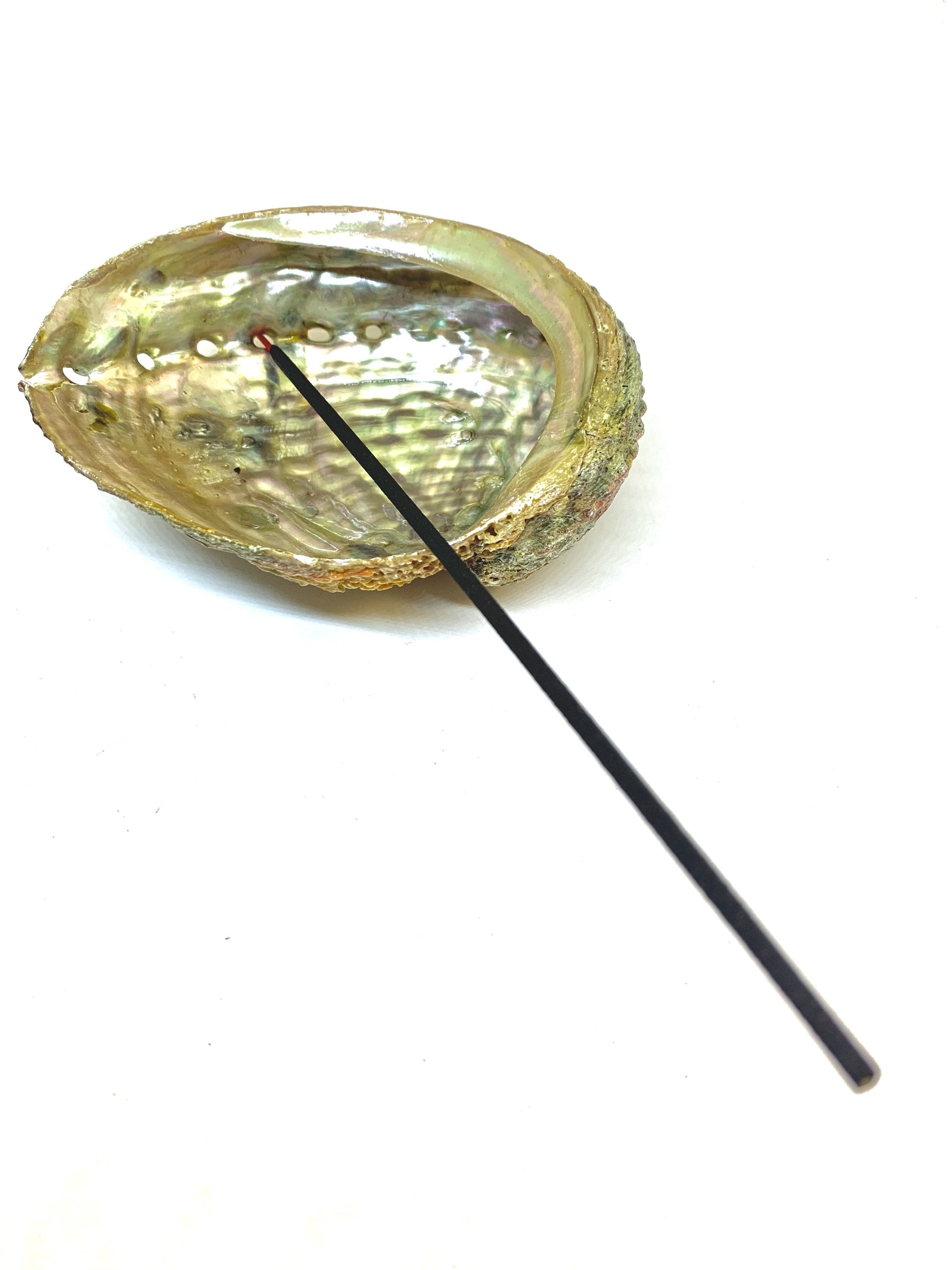 Abalone Shell Incense Holder | Natural Smudge Vessel | Cleansing