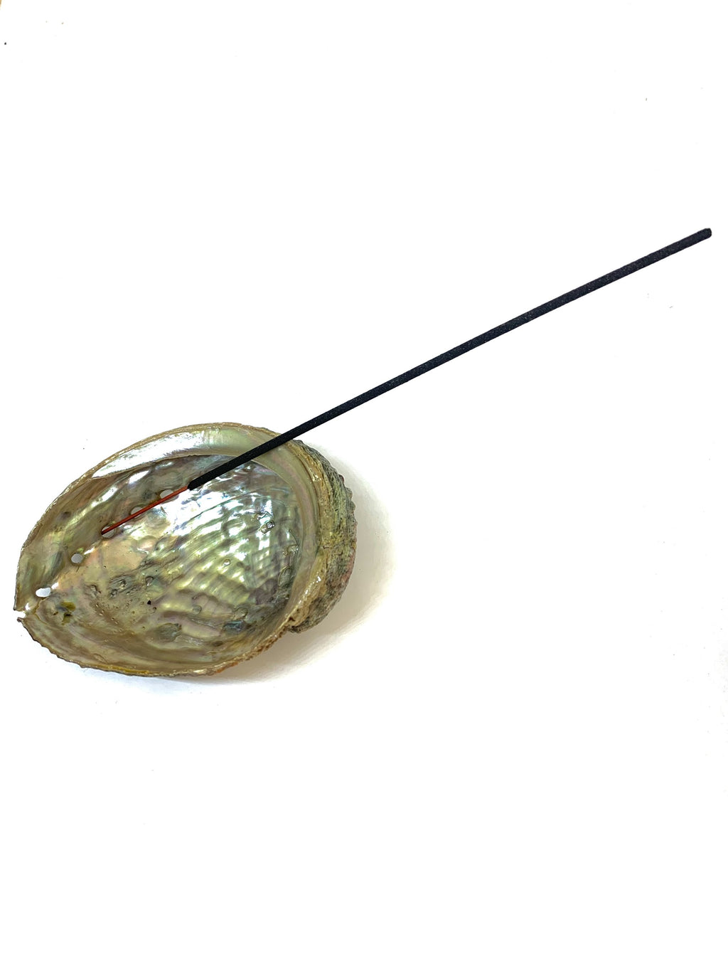 Abalone Shell Incense Holder | Natural Smudge Vessel | Cleansing