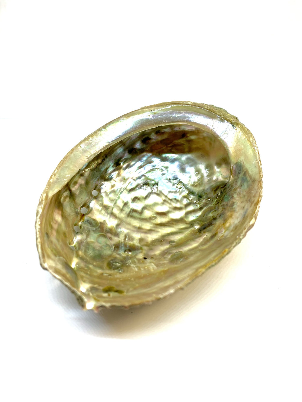 Abalone Shell Incense Holder | Natural Smudge Vessel | Cleansing