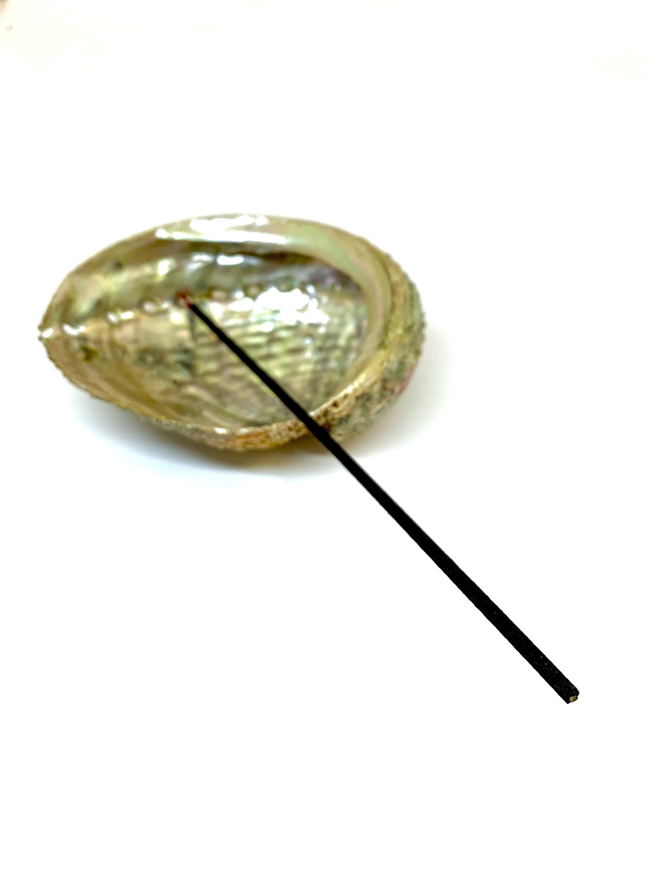 Abalone Shell Incense Holder | Natural Smudge Vessel | Cleansing